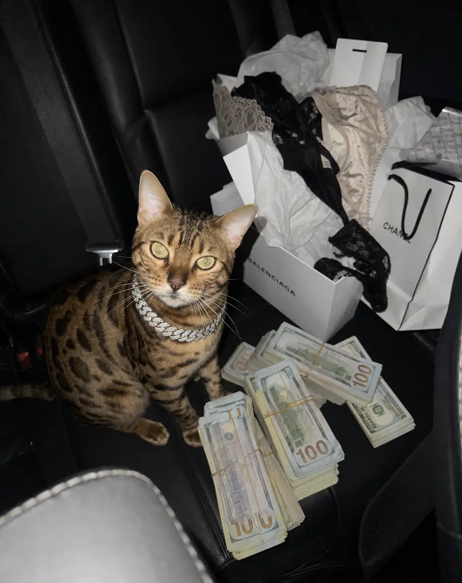 Influencer 1